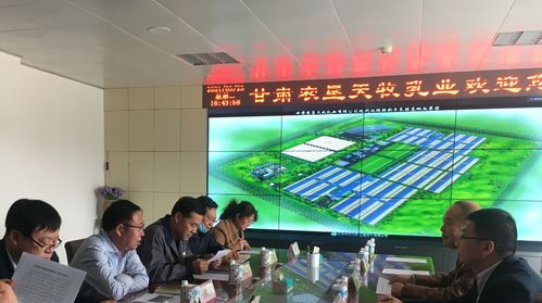 金川區科技局精準發力 提升科技服務能力，多維支撐企業高質量發展