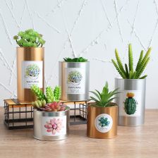 打造理想之家 探索家居裝飾品網(wǎng)與家居飾品的無(wú)限可能